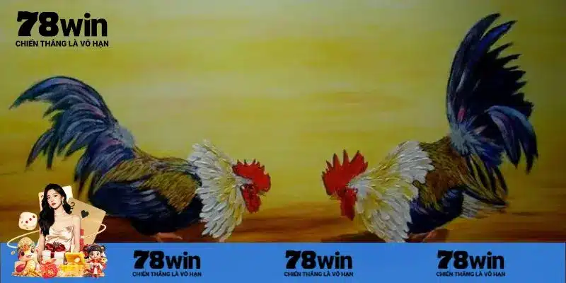 Lời khuyên khi xem đá gà trực tiếp bình luận viên